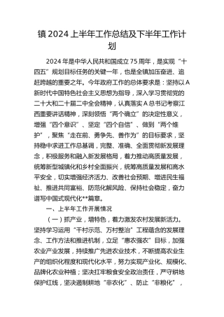 乡镇2024年上半年工作总结及下半年工作计划