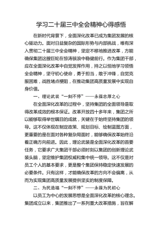 公司学习二十届三中全会精神心得体会发言1100字