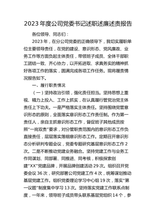 2023年度公司书记述职述廉述责报告2000字