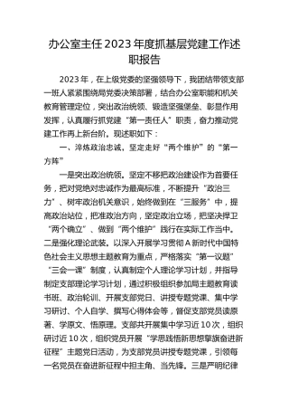 办公室主任2023年度抓支部党建工作述职报告