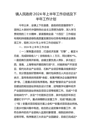乡镇2024年上半年工作总结2