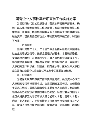 国有企业人事档案专项审核工作实施方案