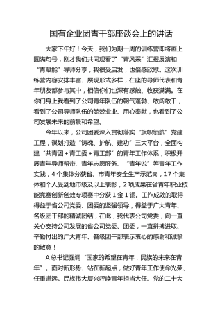 国企公司团青干部座谈会上的讲话