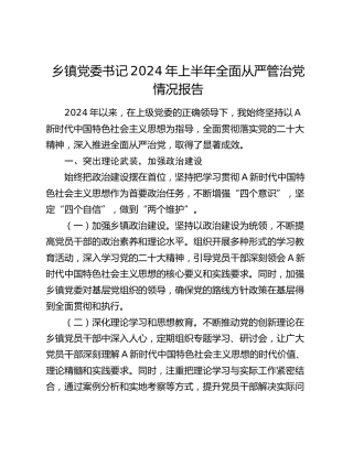 乡镇党委书记2024年上半年全面从严管治党情况报告2900字