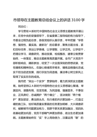 市领导在主题教育总结会议上的讲话3100字