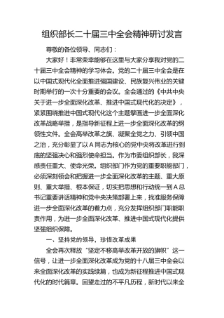 组织部长二十届三中全会精神研讨发言2900字