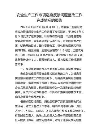 安全生产工作专项巡察反馈问题整改工作总结报告（应急11000字）