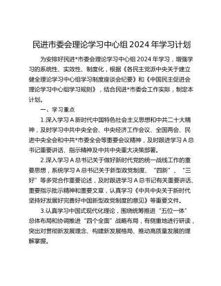 民进市委会理论学习中心组2024年学习计划1200字