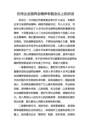 在传达全国两会精神专题会议上的讲话2000字
