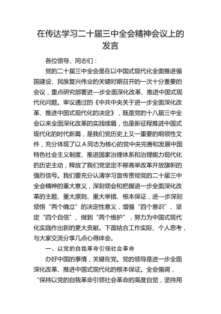 二十届三中全会精神会议上的发言2000