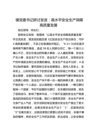 乡镇书记研讨发言：高水平安全生产保障高质量发展