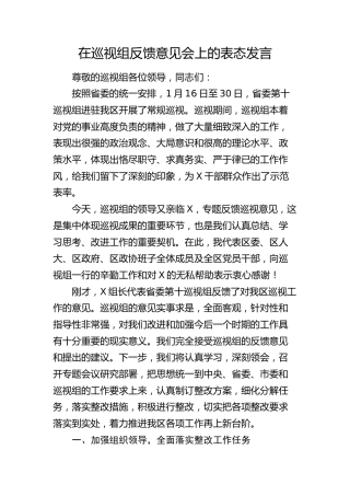 在巡视组反馈意见会上的表态发言（巡察）