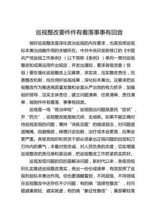 研讨发言：巡视整改要件件有着落事事有回音