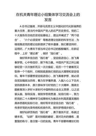 在机关青年理论小组集体学习交流会上的发言