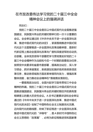 在传达学习二十届三中全会精神会议上的强调讲话（发改）