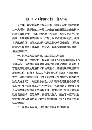 2023年度纪检工作总结2200字