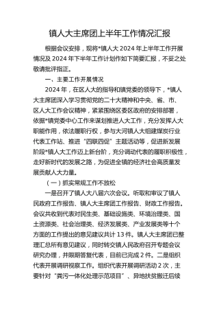 乡镇人大主席团上半年工作情况总结汇报