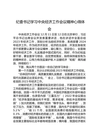 纪委书记学习中央经济工作会议精神心得体会