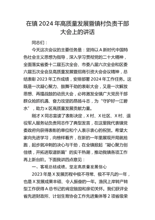 在乡镇2024年高质量发展暨镇村负责干部大会上的讲话