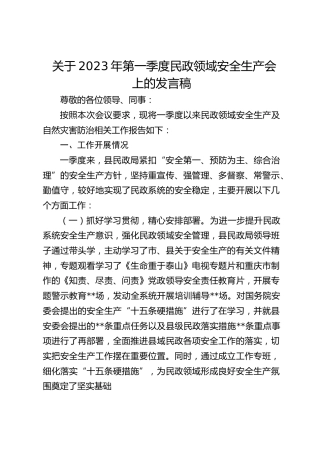 民政领域安全生产会上的发言稿