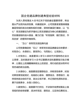 国企党建品牌创建典型经验（公司）