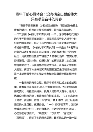 青年干部心得体会：没有横空出世的伟大，只有艰苦奋斗的青春（发言）