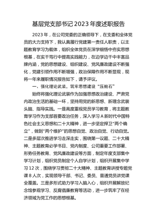 公司党支部书记2023年度述职报告（1800字总结）