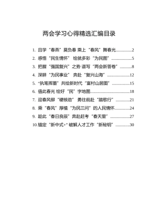 两会学习心得体会发言10篇