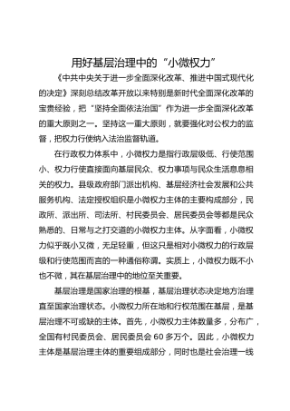 用好基层治理中的“小微权力”