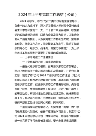 2024年上半年党建工作总结（公司5700字）