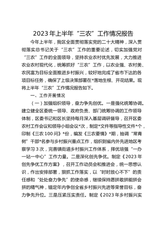 2023年上半年“三农”工作情况报告