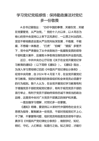 学习党纪党规心得体会发言：保持勤政廉洁   对党纪多一份敬畏