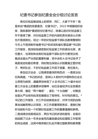 公司纪委书记参加纪委全会分组讨论发言