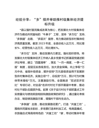 经验总结：“多”措并举助推村级集体经济提标升级
