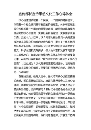 宣传部长宣传思想文化工作心得体会（发言）