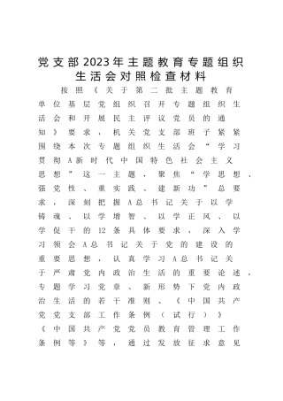 支部班子2023年主题教育专题组织生活会对照检查5300字