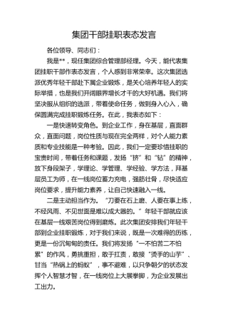 公司干部挂职表态发言