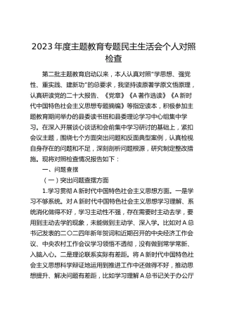 2023年度主题教育专题民主生活会个人对照检查5300字