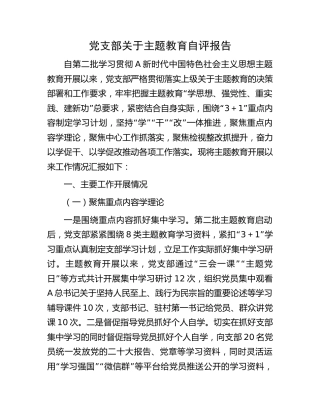 党支部主题教育自评报告（2000字总结）