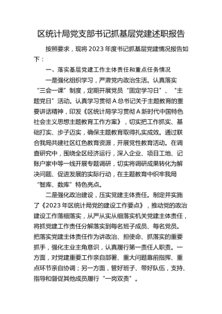 区统计局党支部书记抓基层党建述职报告（落实基层党建工作主体责任和重点任务、意识形态、党风廉政建设责任制三个方面）