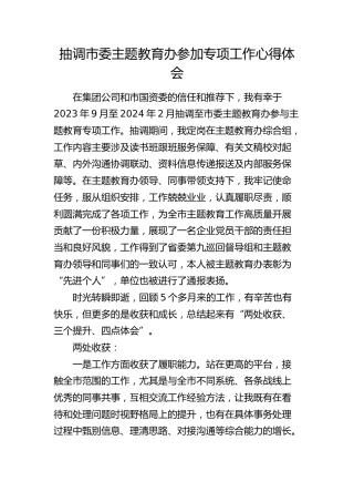 抽调市委主题教育办参加专项工作心得体会（发言）