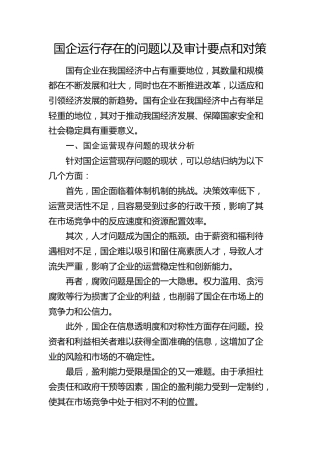 国企运行存在的问题以及审计要点和对策（调研报告）