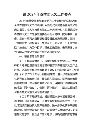 乡镇2024年森林防灭火工作要点（计划）