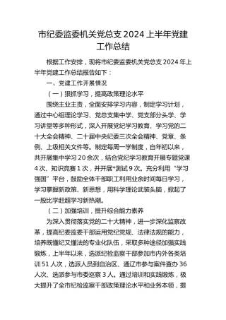 市纪委监委党总支2024年上半年党建工作总结