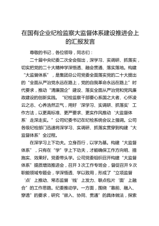 在国企公司纪检监察大监督体系建设推进会上的汇报发言