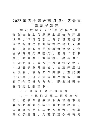 2023年度主题教育组织生活会支部班子对照检查4600字