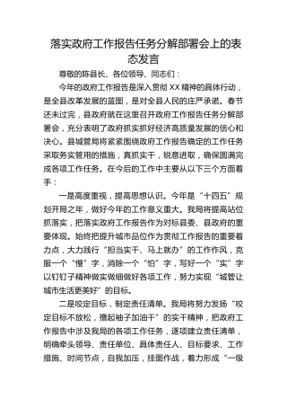 落实政府工作报告任务分解部署会上的表态发言