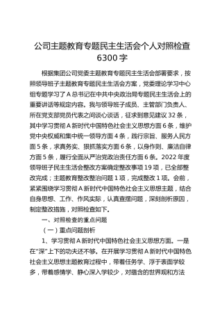 公司主题教育专题民主生活会个人对照检查6300字