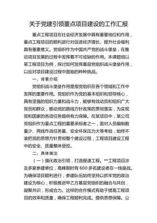 党建引领重点项目建设工作总结汇报