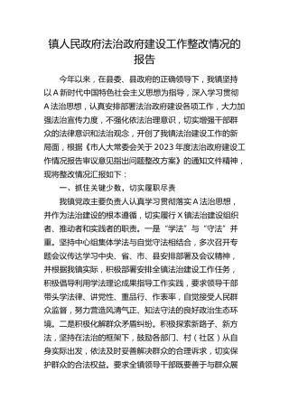 乡镇人民政府法治政府建设工作整改情况的报告